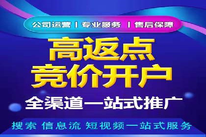 关键词竞价排名实战案例分析及优化